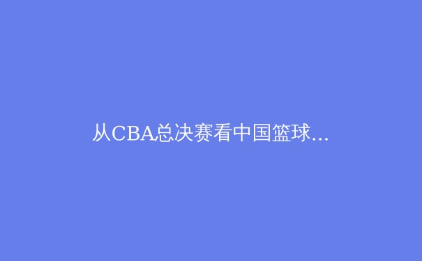 从CBA总决赛看中国篮球的职业化进程与未来挑战